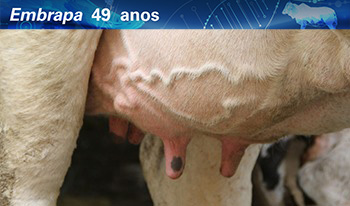 Controle e prevenção da mastite em rebanhos bovinos - Turma 2/2022