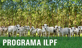 PROGRAMA ILPF