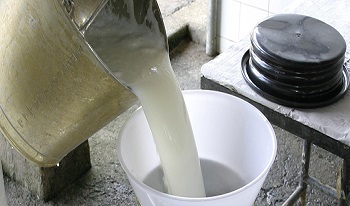 Amostragem, coleta e transporte do leite - Turma 04/2022