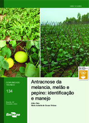 Thumbnail de Antracnose da melancia, melão e pepino: identificação e manejo.